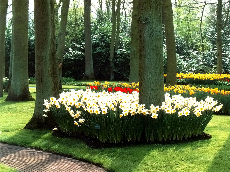 Keukenhof Gardens 4-14