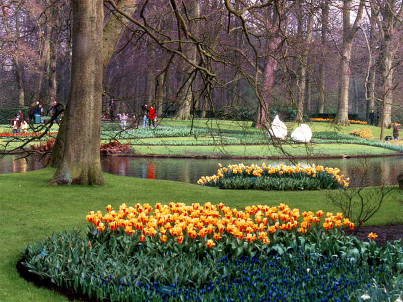 Keukenhof Gardens 4-2