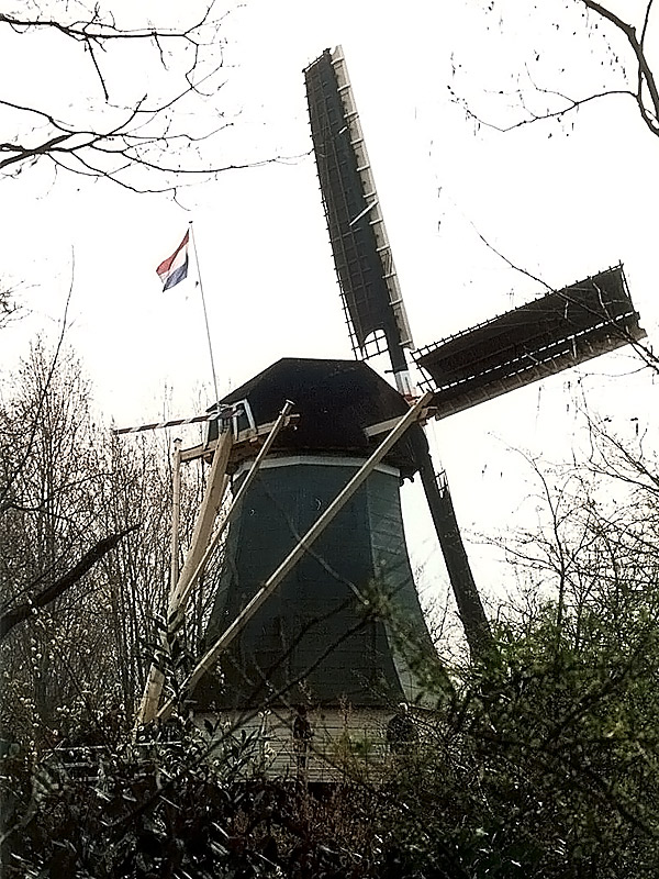 Keukenhof Gardens 4-20